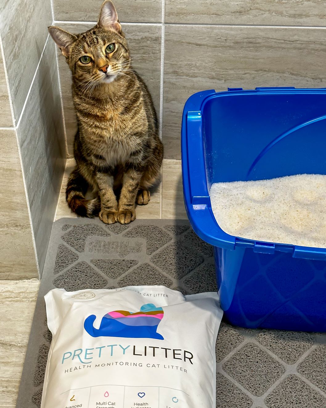 Pretty Litter Honest Review