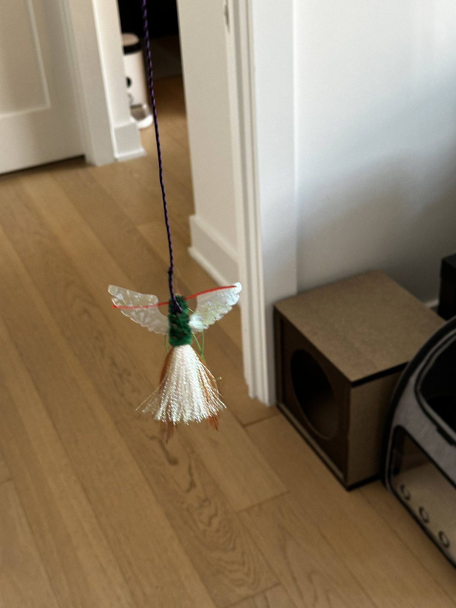Best Cat Toy Ever? RompiCatz Bugzbird